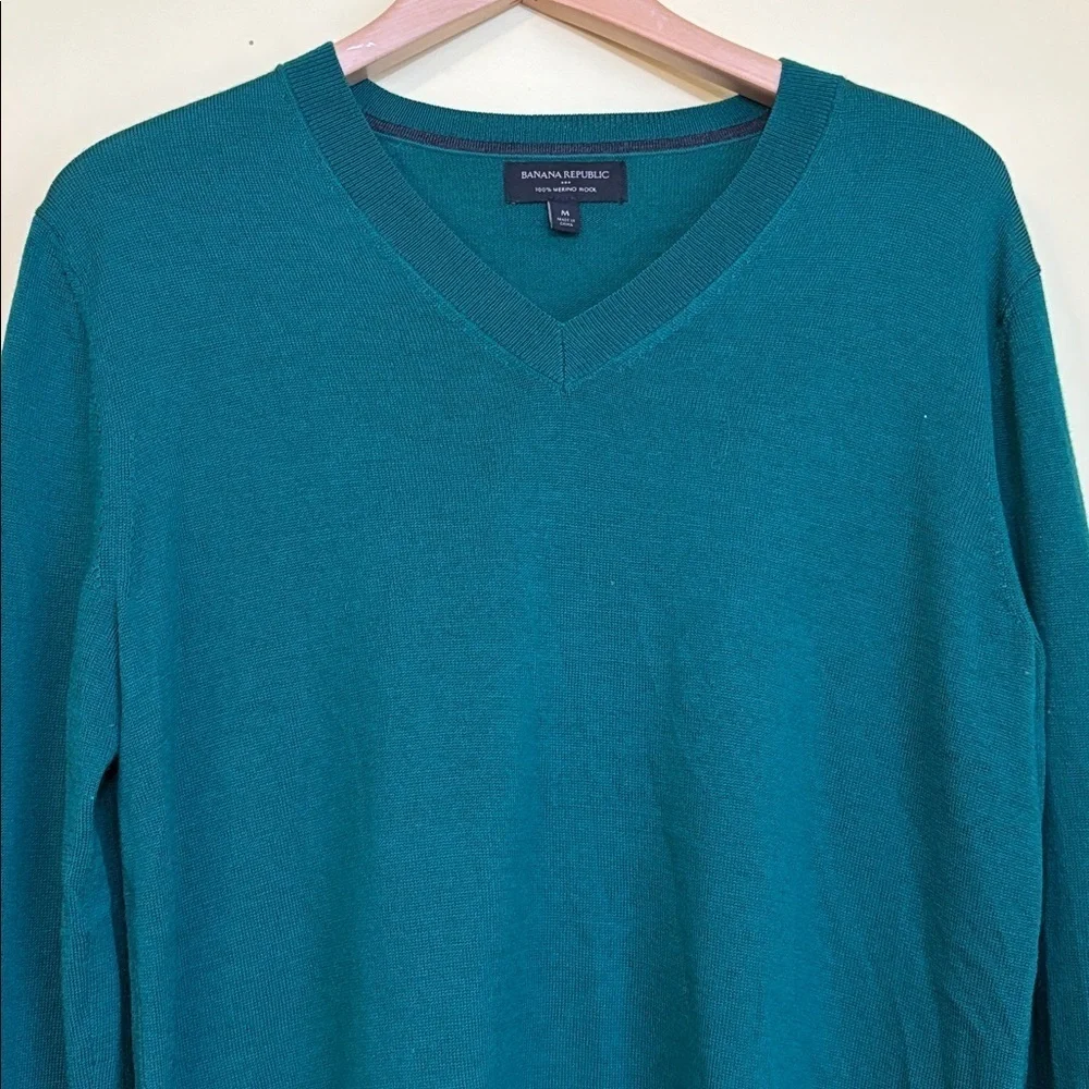 Banana Republic | Green Unisex Merino Wool V-Neck Knit Long Sleeve Sweater M